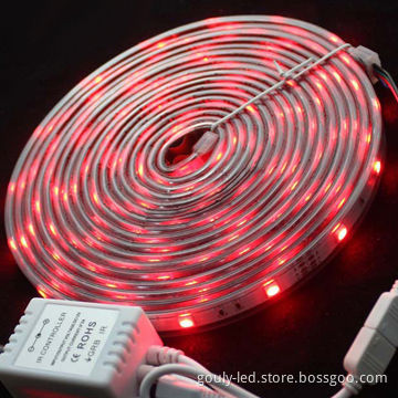 Red flexible LED strip, soft silicon gel on the back 5050 LED 5M/reel